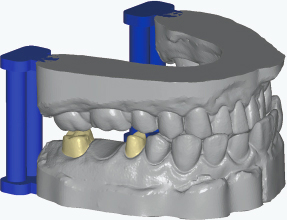 Model 3D artykulowanego modelu szczęki i żuchwy