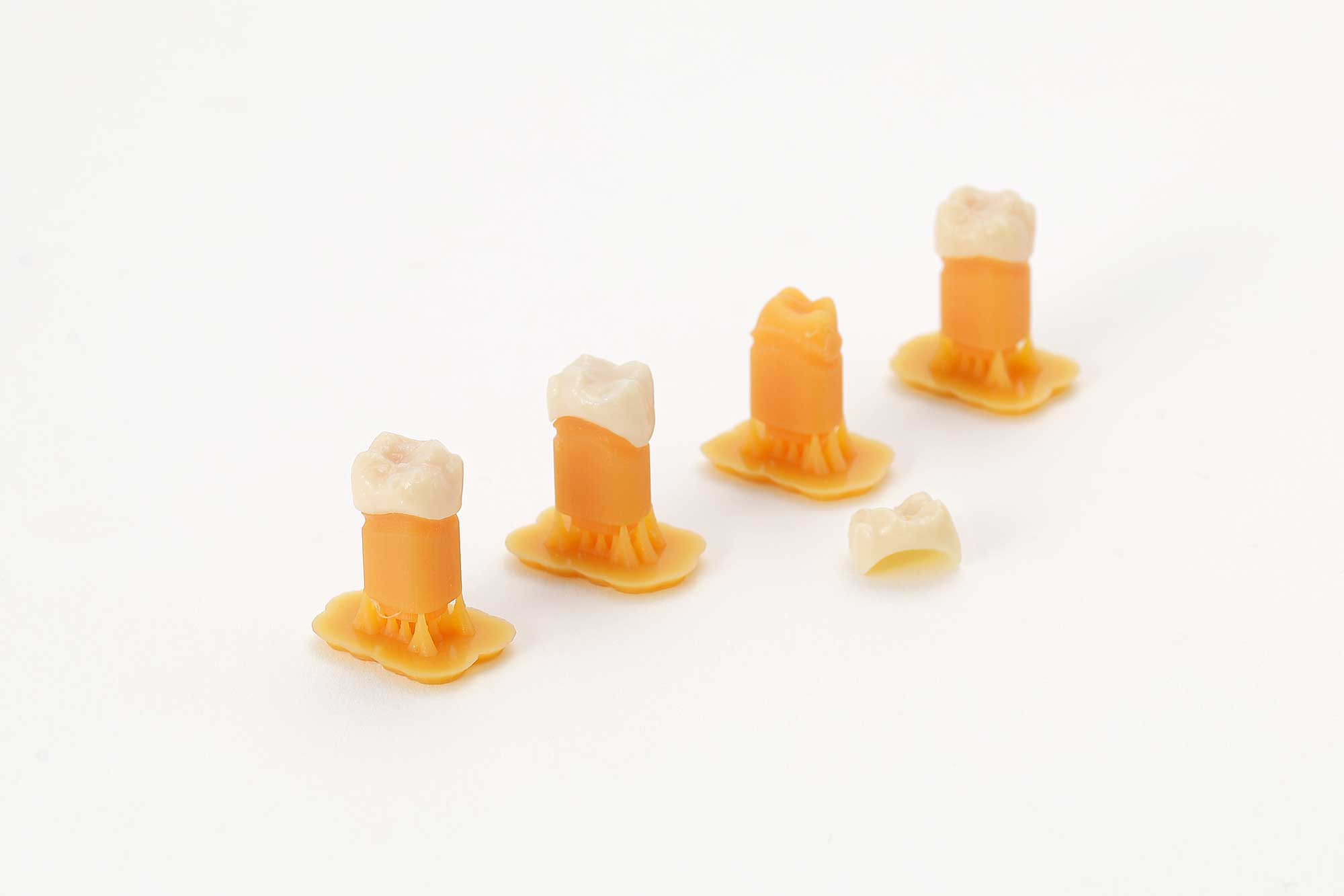 Korony zębów wyprodukowane drukarą 3D z modelami zębów