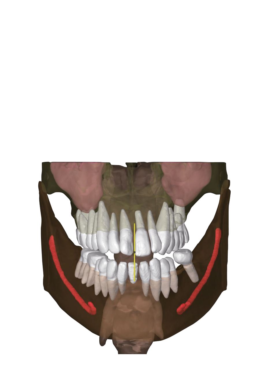 Skaner twarzy one-shot 3D RAYFAce do stomatologii